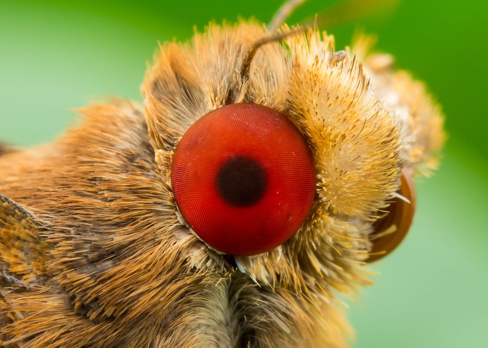 Photograph by Wildan Ardani