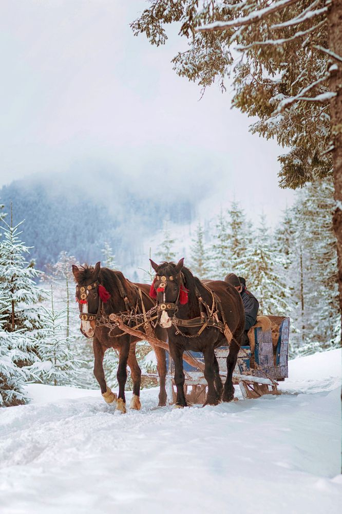 Photograph by Виктория Бурова