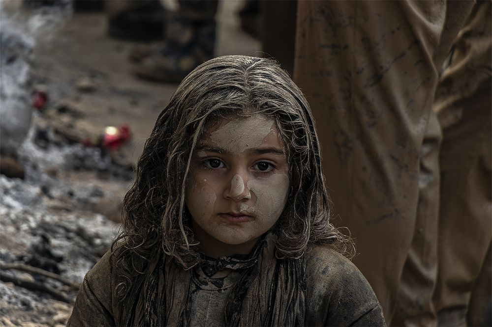 Фотография автора Milad Falahi