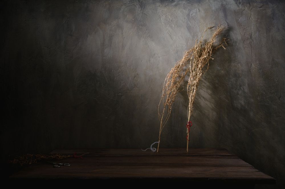 Photograph by Алексей Дивнич