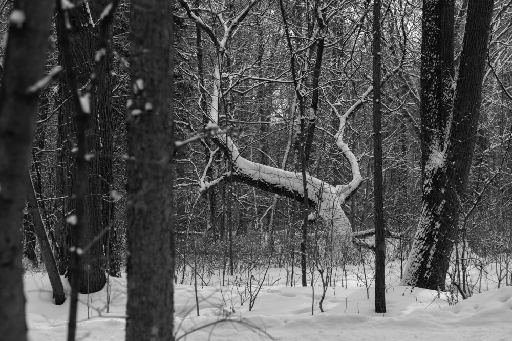 Photograph by Елена Копейкина