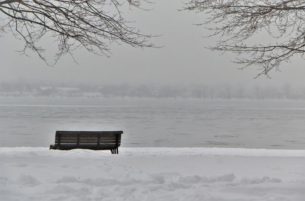 Photograph by Veremeyeva Marina