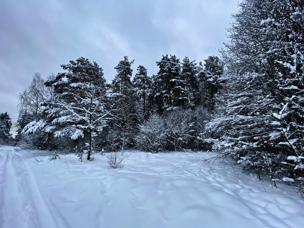 Photograph by Ольга Пилиповец