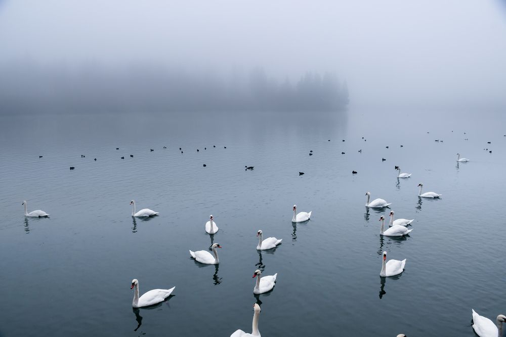 Photograph by Ela Zdešar