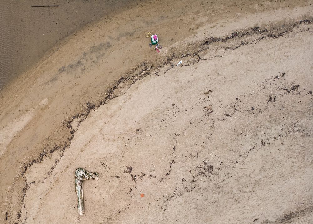 Фотография автора david xavier de carvalho