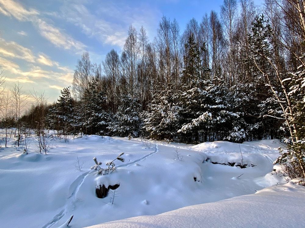 Photograph by Ольга Пилиповец