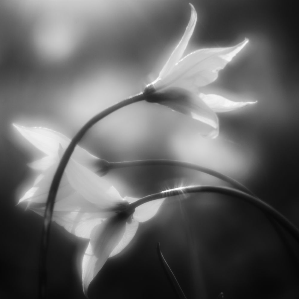 Фотография автора Игорь Баранов