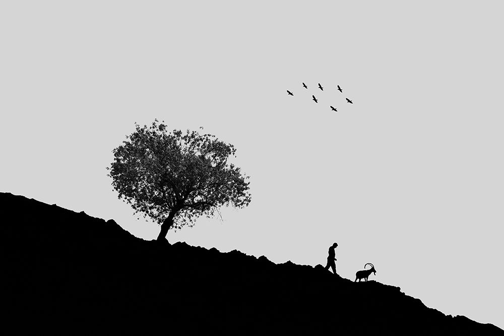 Photograph by Ebrahim Rahiminezhad