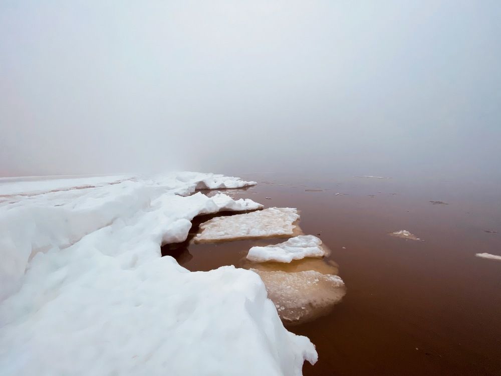 Photograph by Ольга Пилиповец