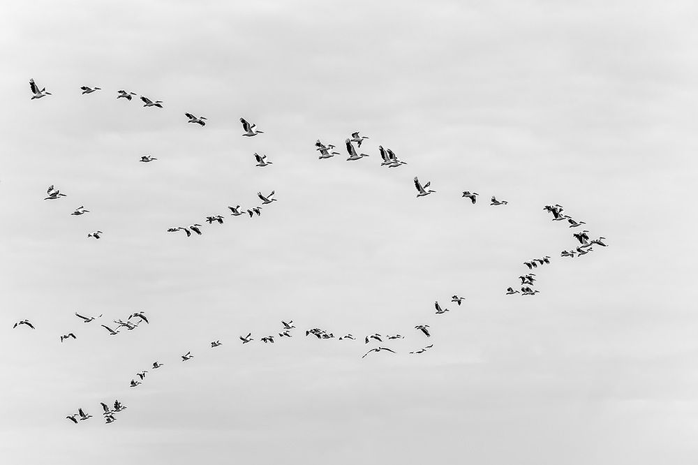 Photograph by Сергей Савви