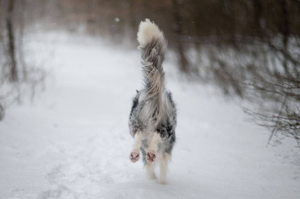 Photograph by Jakub Kudlovsky