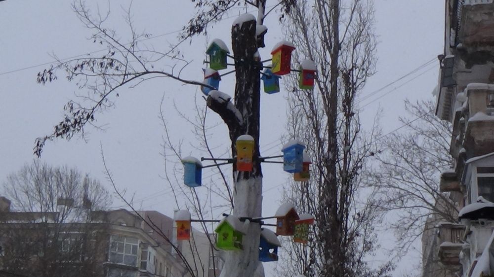 Photograph by Оксана Джураева