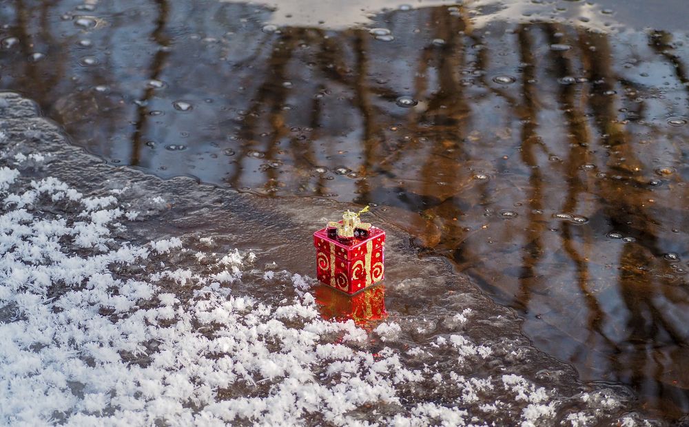 Подарок феи