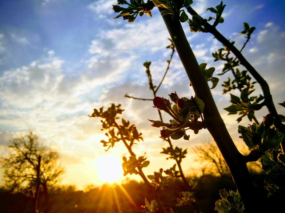 Photograph by Karina