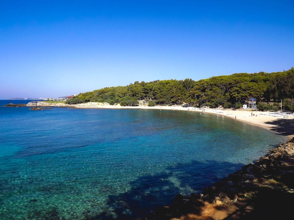 Photograph by Виктория Куликова