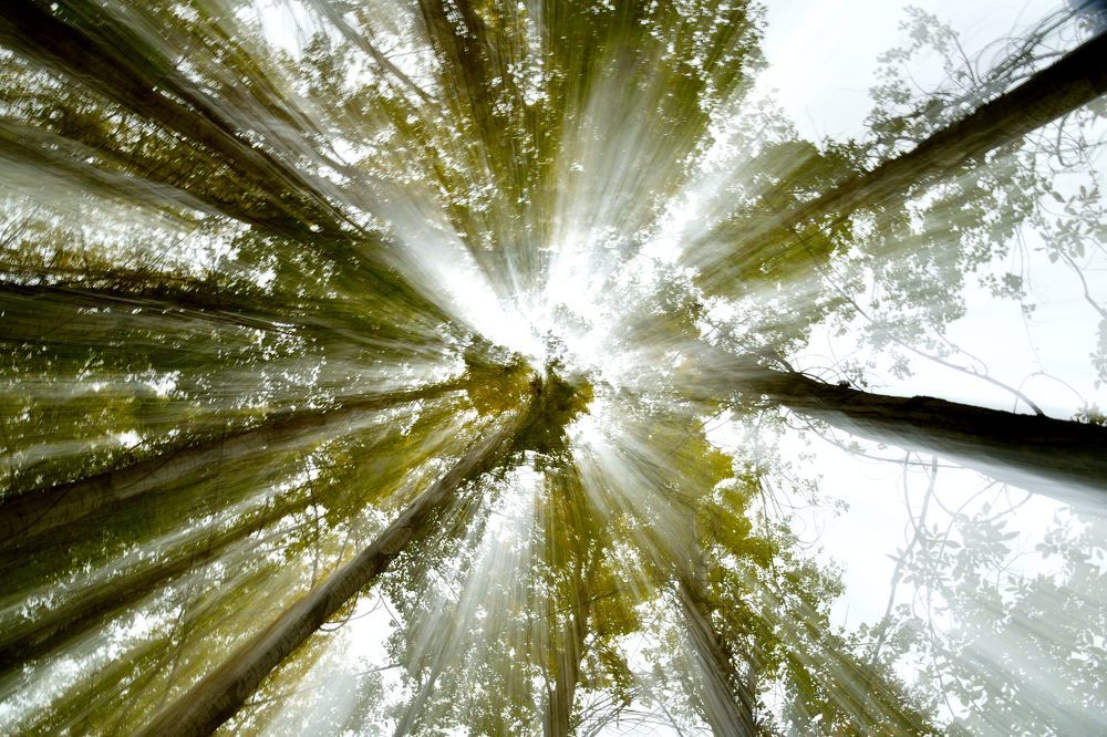 Photograph by Yaser Alijani