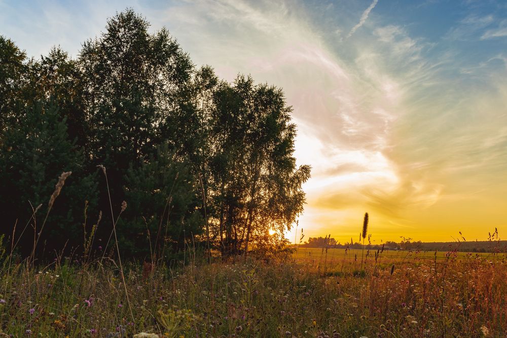 Photograph by Александр Данилов