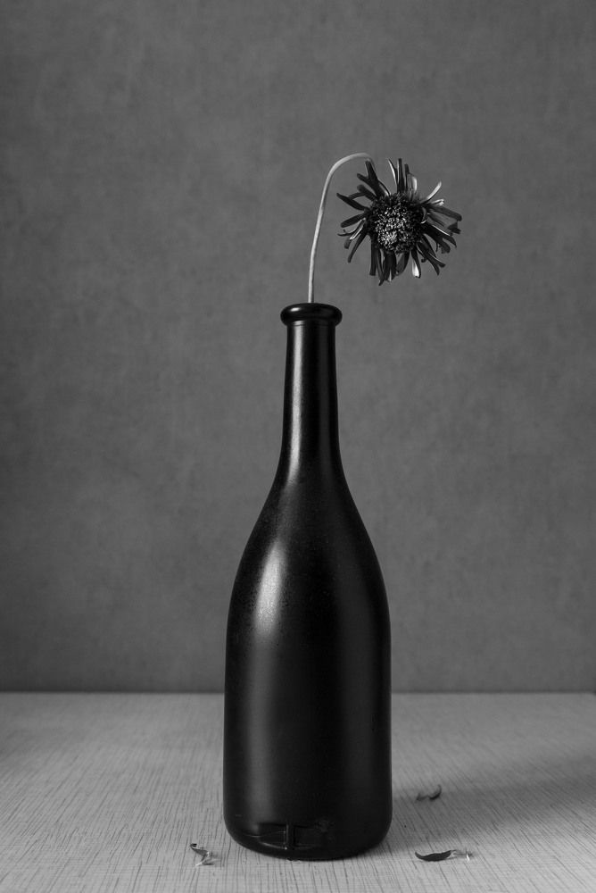 Photograph by Serafima Gureva