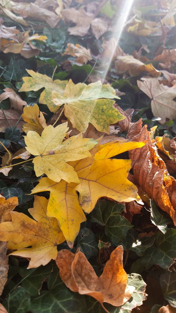 Photograph by Катя Бушная