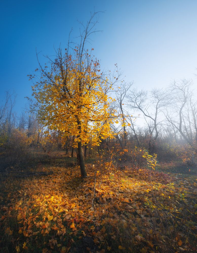 Финальные аккорды осени