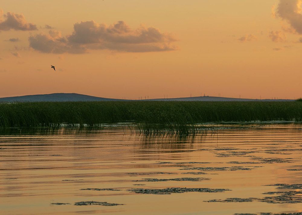 Photograph by Yulia Aslanova