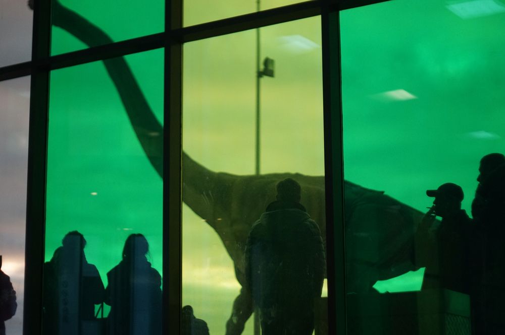 Photograph by Галина Балахонова