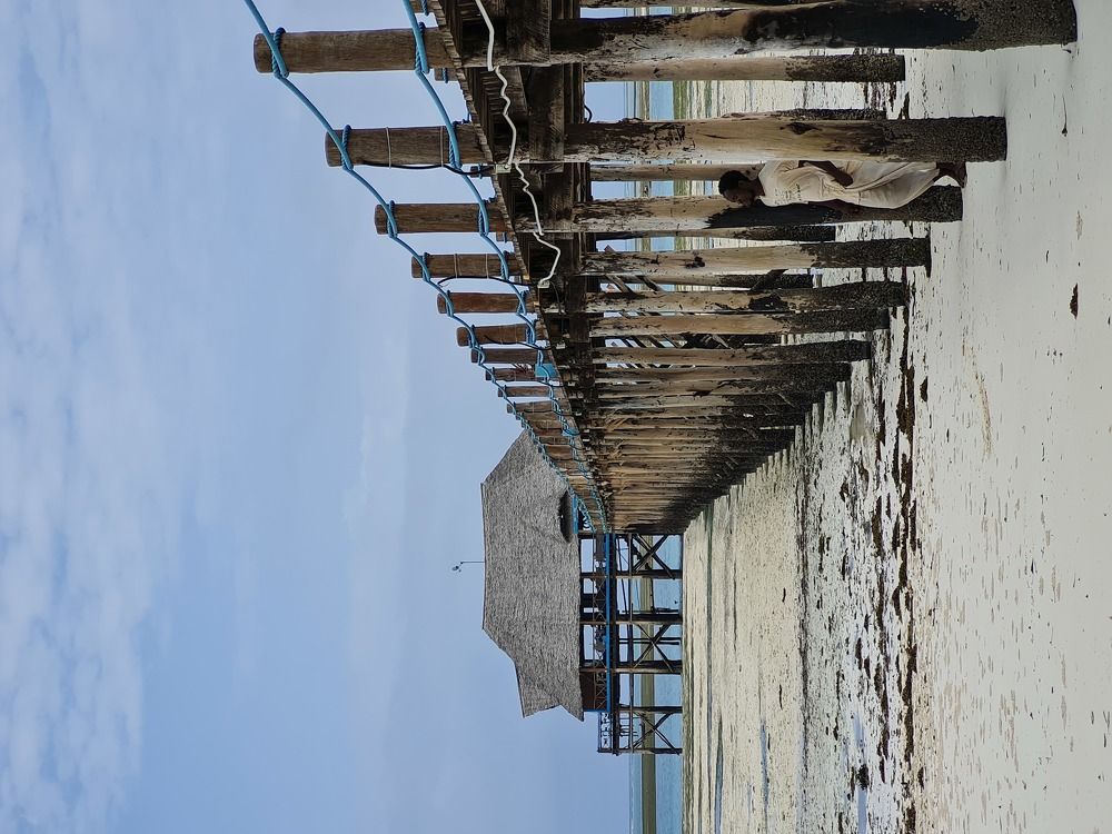 Photograph by Artem Kuzmin