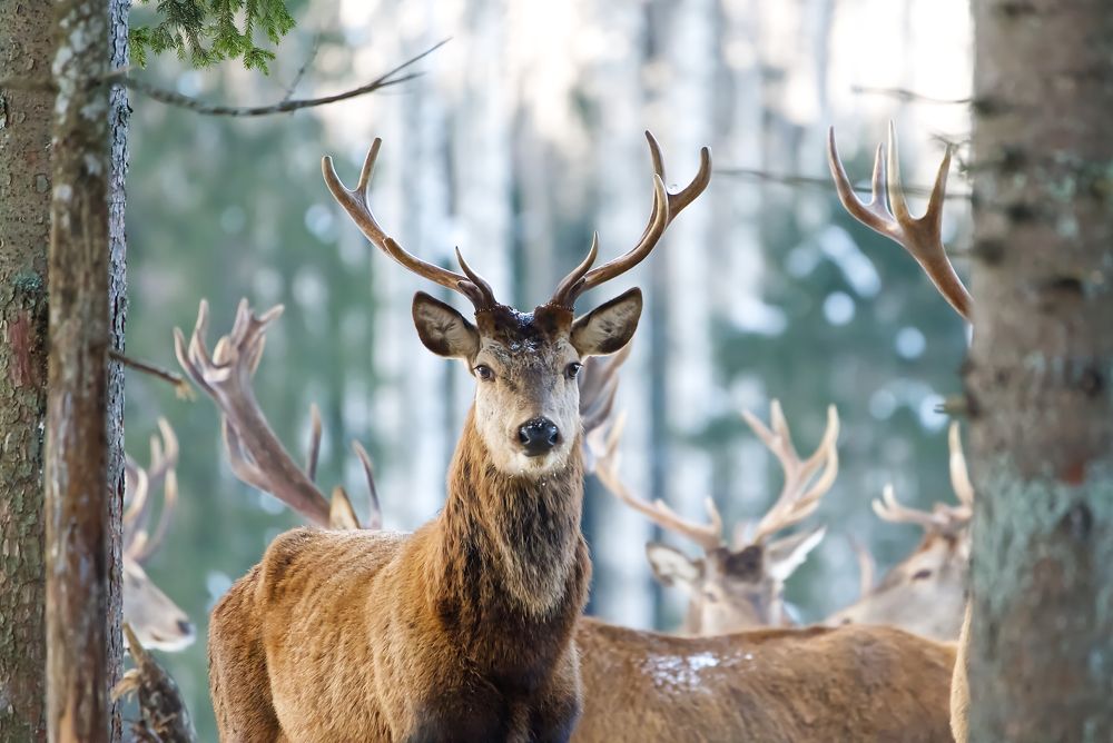 Photograph by Ilja Enger-Tsizikov