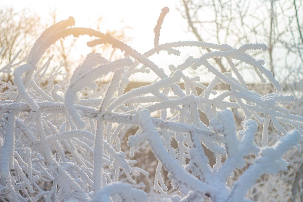 Photograph by Петр