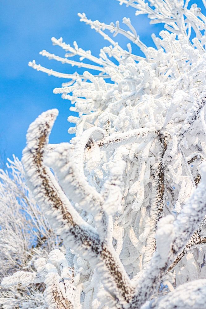 Photograph by Петр