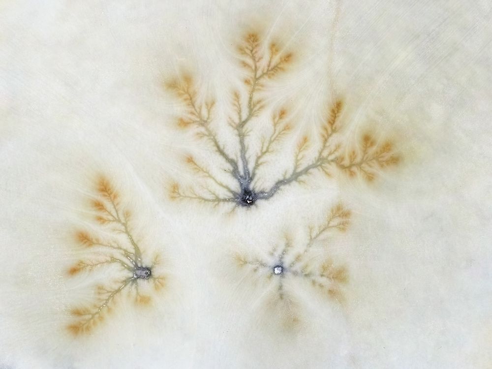 Зимние зарисовки.