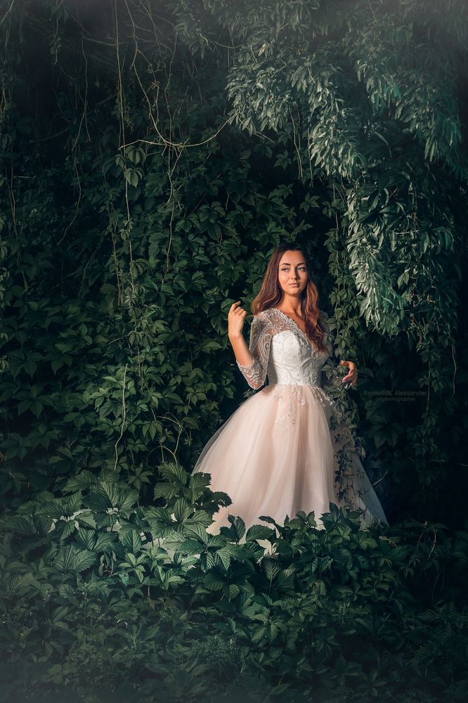 Photograph by Александр Решетник