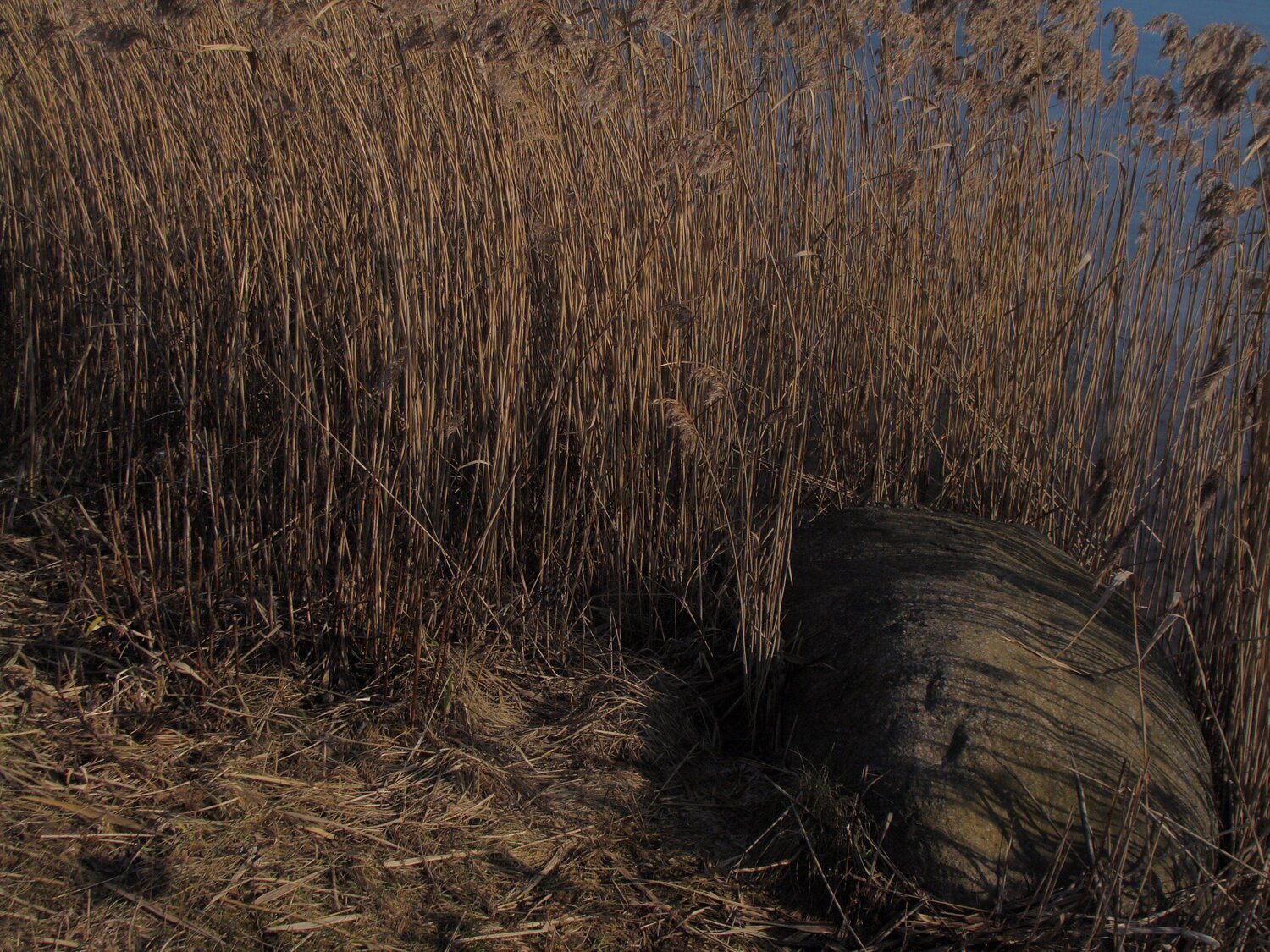 Photo #5882442