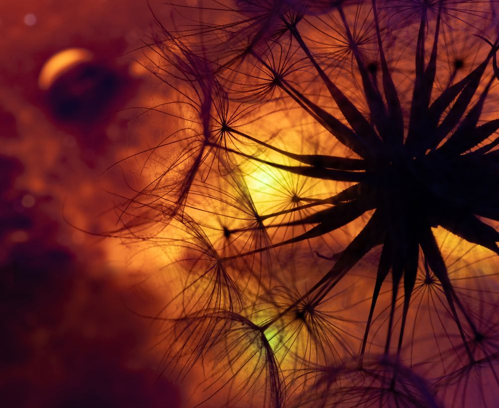 Фотография автора Мария Обидина