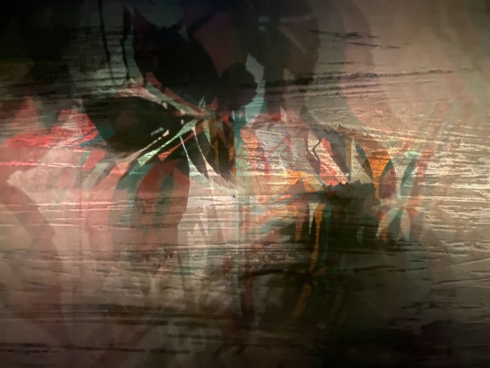 Photograph by OLGA LYSYKH