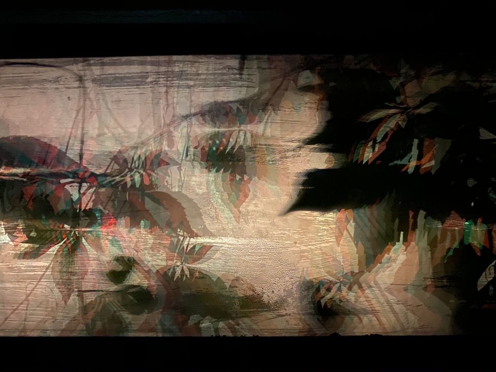 Photograph by OLGA LYSYKH