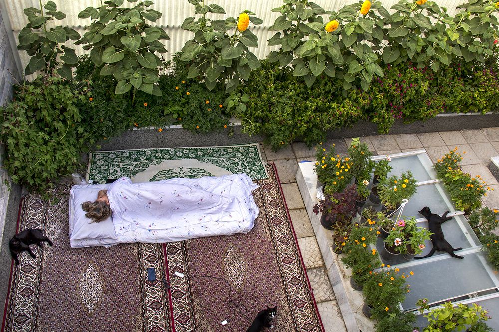 Photograph by ali akbar matloubi