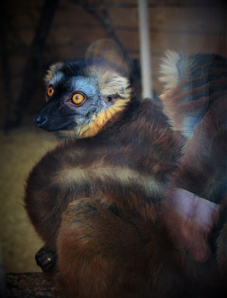 Photograph by Veremeyeva Marina