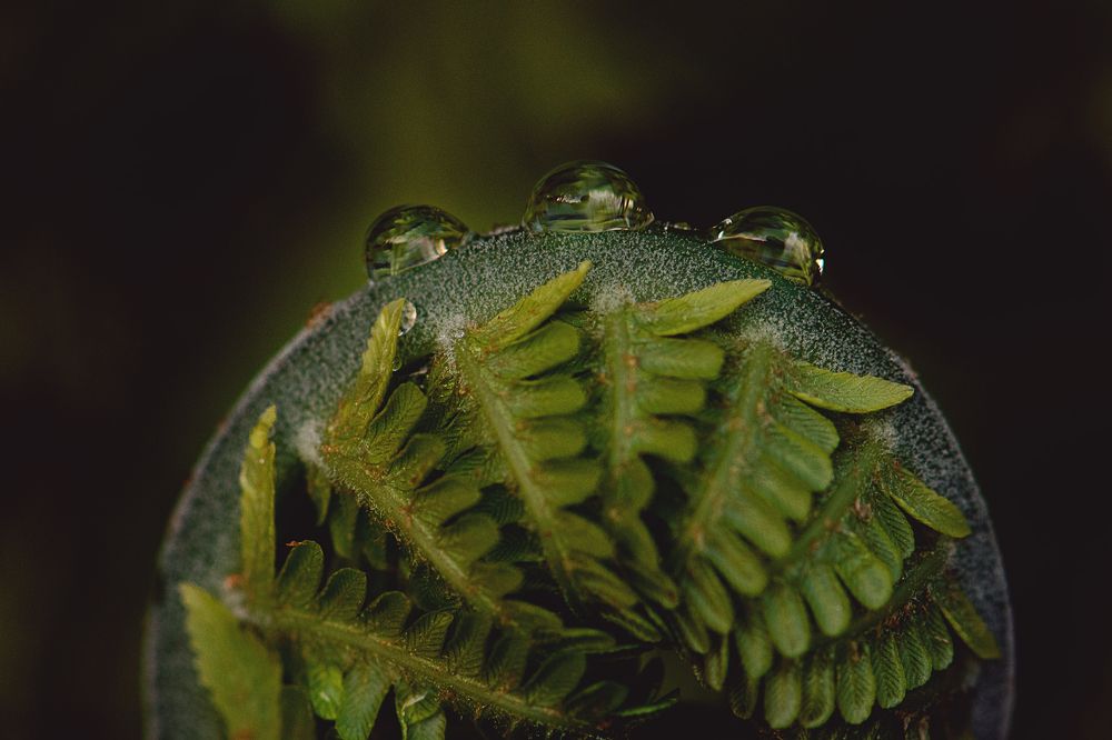 Photograph by Ольга Тюгина