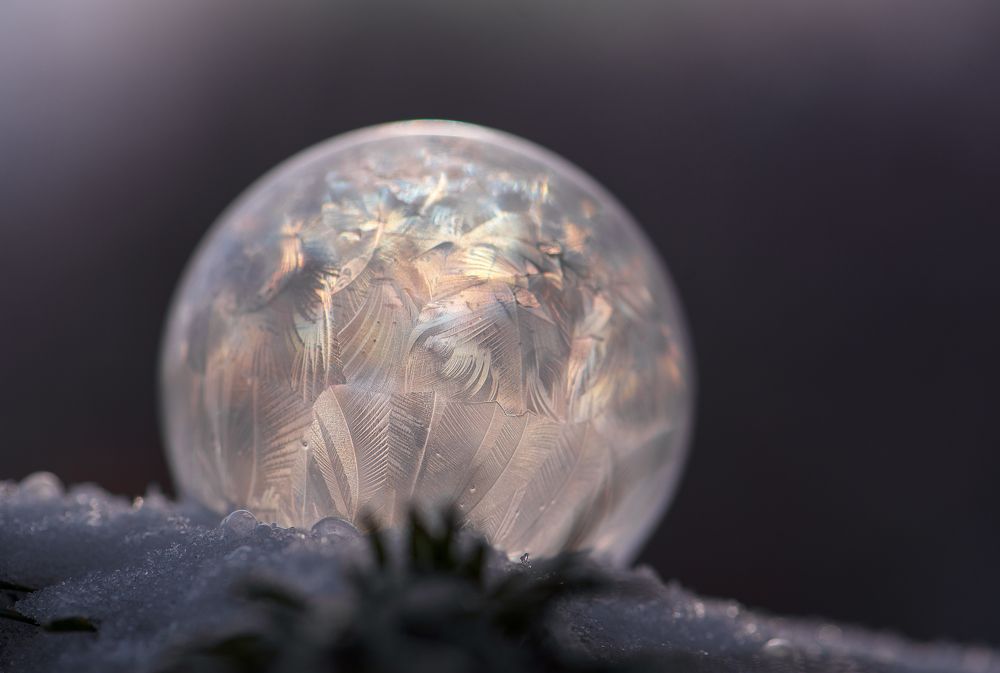 Photograph by Ольга Тюгина