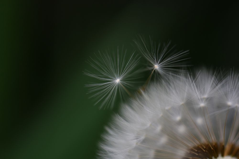 Photograph by Ольга Тюгина