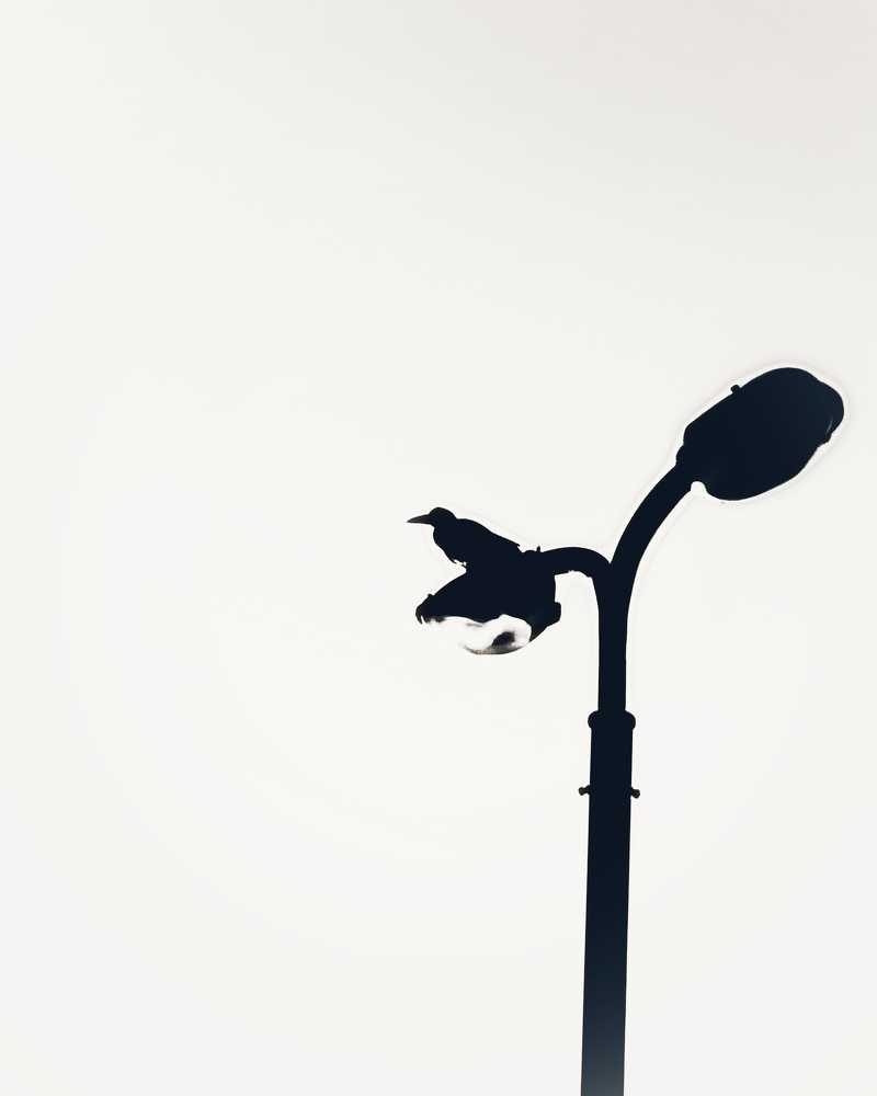 Фотография автора Jovica