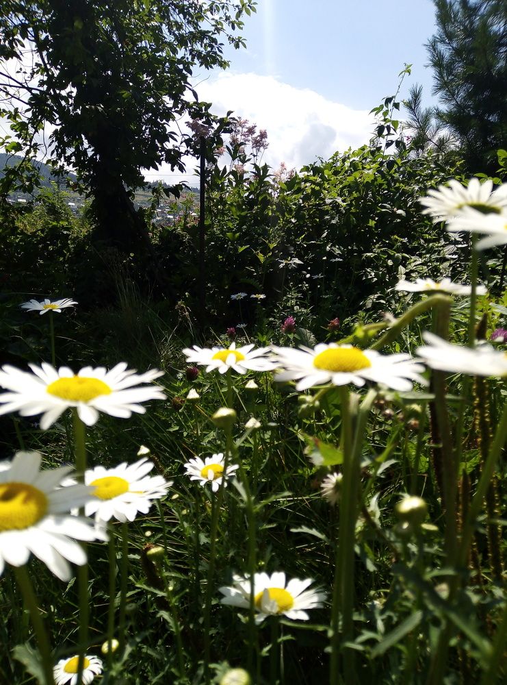 Photograph by Юлия Волобуева