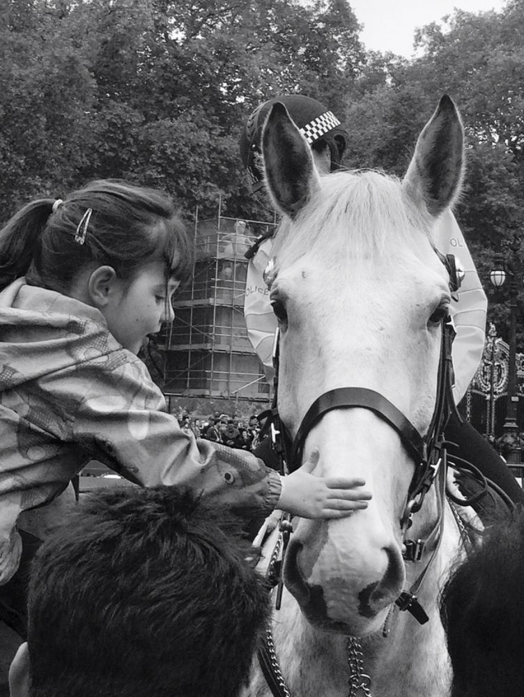 Photograph by Helena Larsson