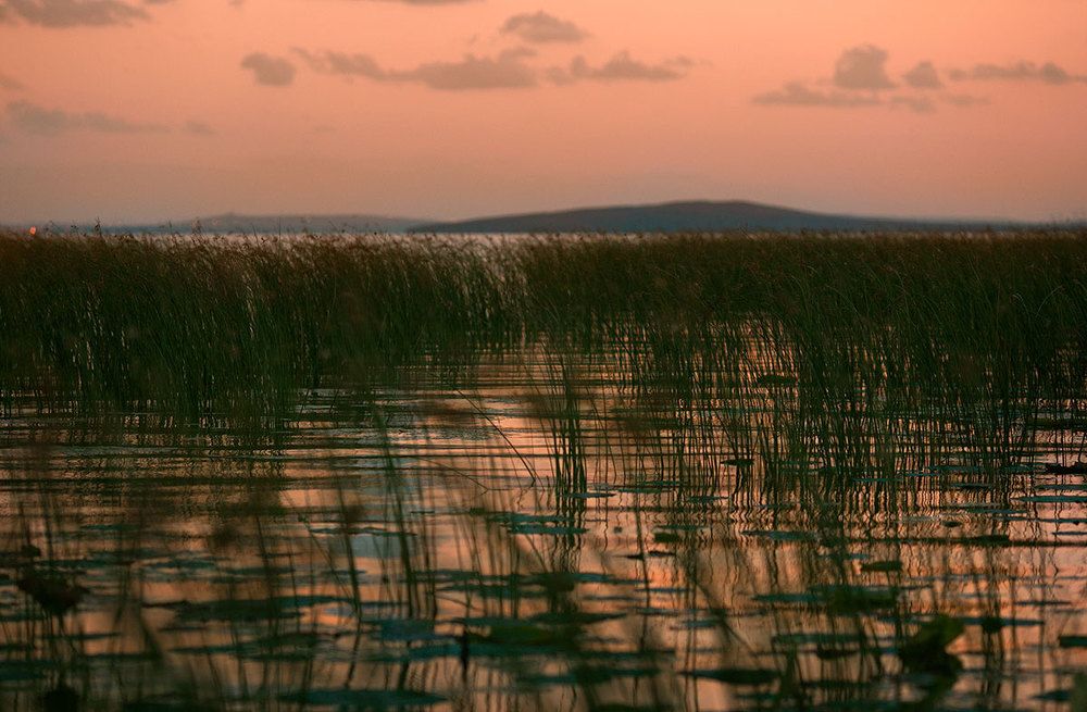 Photograph by Yulia Aslanova