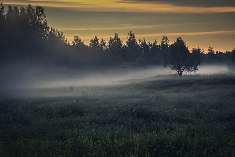Придорожный пейзаж