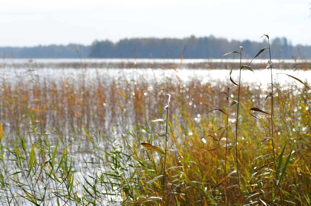Один счастливый осенний день на любимом озере...