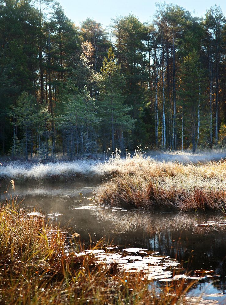 Октябрьское утро