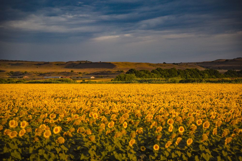 Photograph by Виктория Куликова