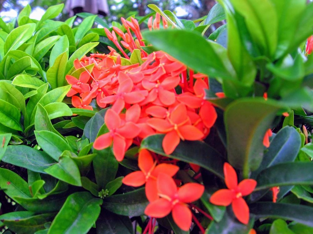 Photograph by Игорь Нуриев